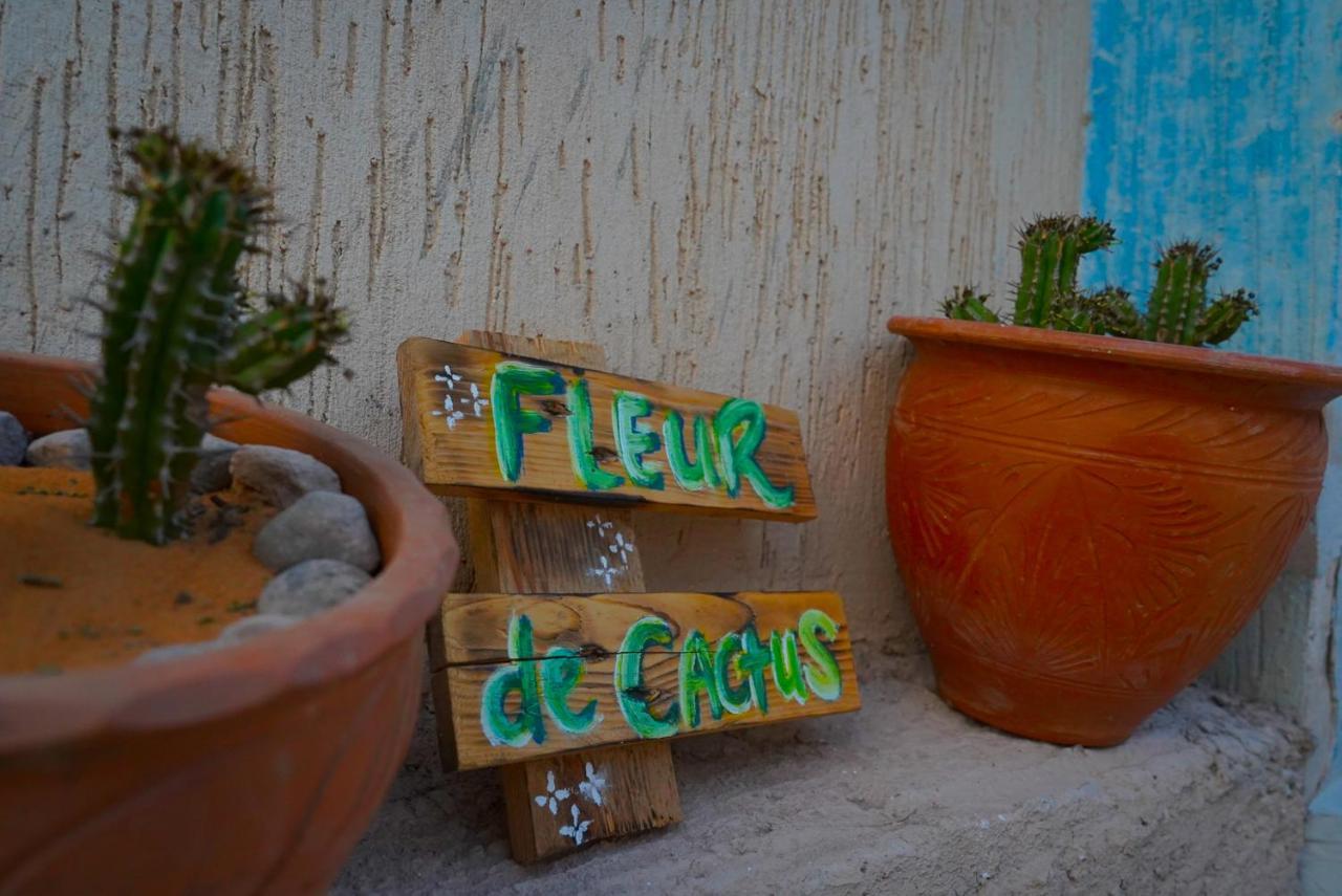 Fleur De Cactus, Guesthouse, Tamraght 外观 照片
